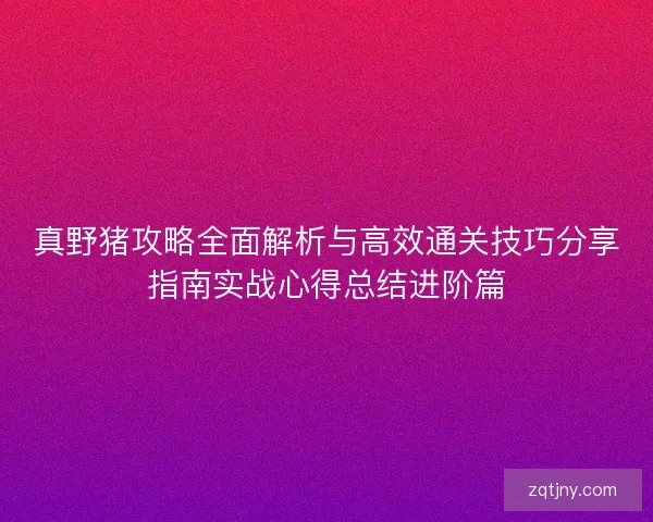真野猪攻略全面解析与高效通关技巧分享指南实战心得总结进阶篇