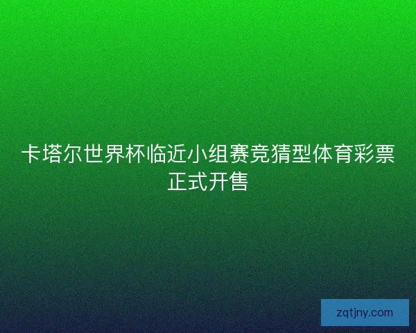 卡塔尔世界杯临近小组赛竞猜型体育彩票正式开售