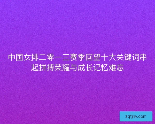 中国女排二零一三赛季回望十大关键词串起拼搏荣耀与成长记忆难忘